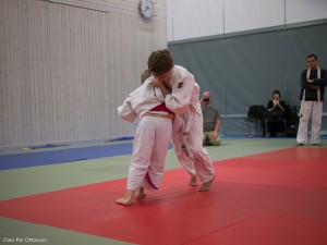 2013 03 05 - 053 Per Ottosson